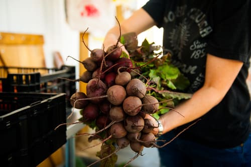 Alexandria health and nutrition coach shares her farmers market